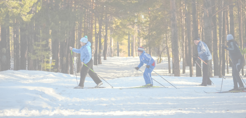 professeur de ski comptabilité